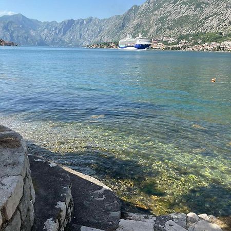Asija Apartment Kotor Bagian luar foto