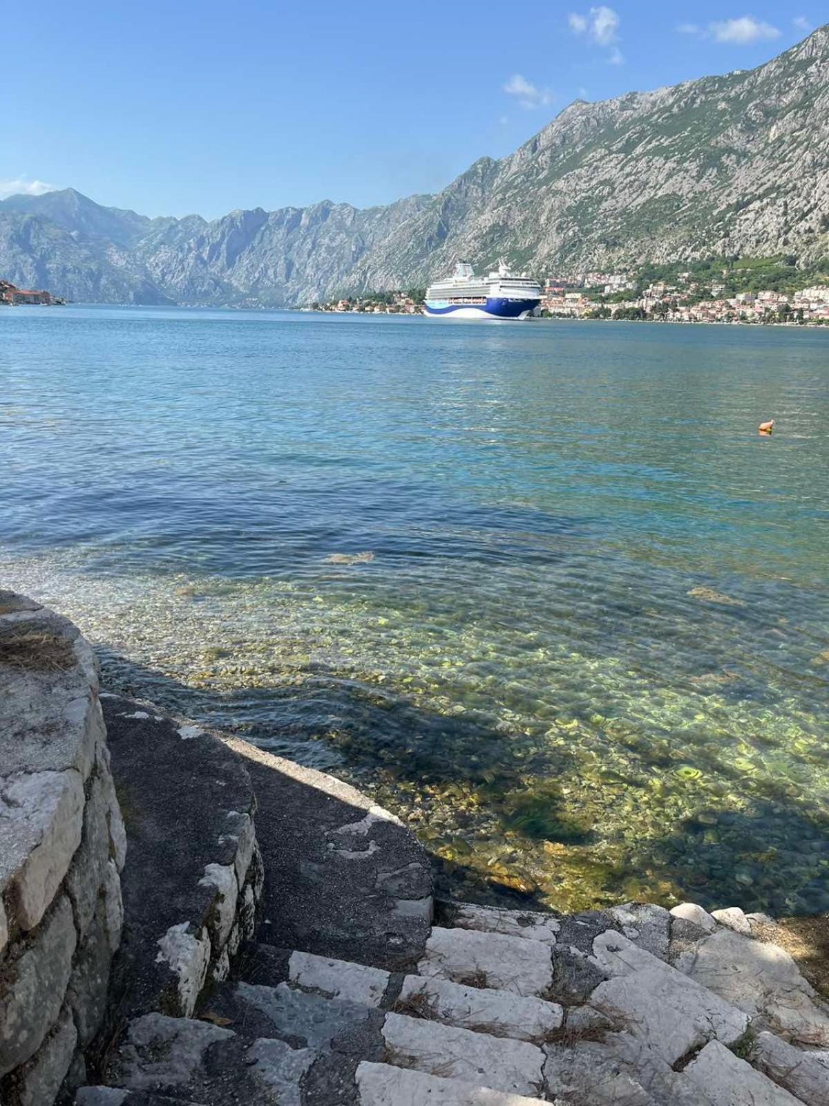 Asija Apartment Kotor Bagian luar foto