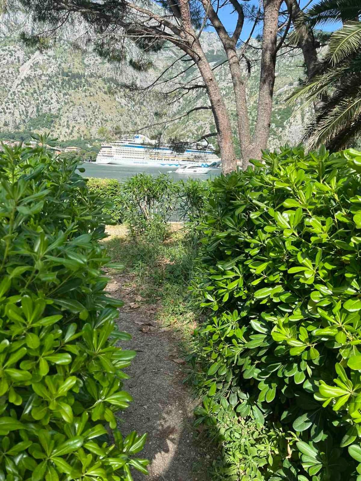 Asija Apartment Kotor Bagian luar foto
